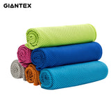 GIANTEX Summer Women Sports Towel Cold Feeling Sweat Cooling Ice Towel Running Outdoor Travel Gym Towel 30x100cm U1286