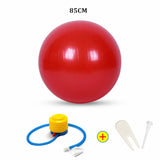 Sports Yoga Balls Bola Pilates Fitness Ball Exercise Gym Balance Fitball Exercise Pilates Workout Massage Ball with Pump 45-85cm