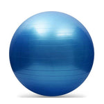 Sports Yoga Balls Bola Pilates Fitness Ball Gym Balance Fitball Exercise Pilates Workout Massage Ball with Pump 25cm