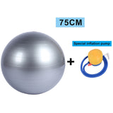 YOUGLE Sports Yoga Balls Bola Pilates Fitness Gym Balance Fitball Exercise Pilates Workout Massage Ball 55cm 65cm 75cm 85cm
