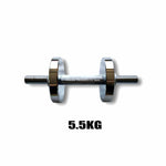 5.5KG*2pcs Steel Dumbbell, Customized Plated Dumbbells, Household Fitness Equipment Weight Adjustable Dumbbells