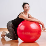 Sports Yoga Balls Bola Pilates Fitness Gym Balance Fitball Exercise Pilates Workout Massage Ball 55cm 65cm