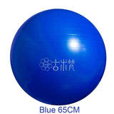 Sports Yoga Balls Bola Pilates Fitness Gym Balance Fitball Exercise Pilates Workout Massage Ball 55cm 65cm