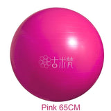 Sports Yoga Balls Bola Pilates Fitness Gym Balance Fitball Exercise Pilates Workout Massage Ball 55cm 65cm