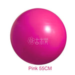 Sports Yoga Balls Bola Pilates Fitness Gym Balance Fitball Exercise Pilates Workout Massage Ball 55cm 65cm