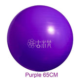 Sports Yoga Balls Bola Pilates Fitness Gym Balance Fitball Exercise Pilates Workout Massage Ball 55cm 65cm