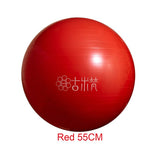 Sports Yoga Balls Bola Pilates Fitness Gym Balance Fitball Exercise Pilates Workout Massage Ball 55cm 65cm