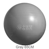 Sports Yoga Balls Bola Pilates Fitness Gym Balance Fitball Exercise Pilates Workout Massage Ball 55cm 65cm