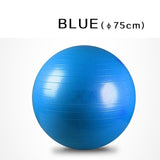WorthWhile Gym Yoga Balls Pilates Fitness Exercise Balance Ball Workout Training Powerball Equipment Accessories 55cm 65cm 75cm