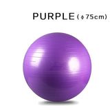 WorthWhile Gym Yoga Balls Pilates Fitness Exercise Balance Ball Workout Training Powerball Equipment Accessories 55cm 65cm 75cm