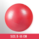 55-75cm Thickening Pilates Yoga Balls For Women Bola Pilates Fitness Gym Balance Fitball Exercise Workout Stability Swiss Ball