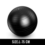 55-75cm Thickening Pilates Yoga Balls For Women Bola Pilates Fitness Gym Balance Fitball Exercise Workout Stability Swiss Ball