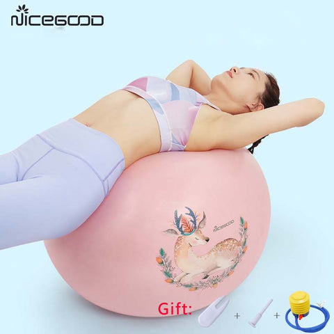 65cm Sports Yoga Balls Bola Pilates Fitness Ball Gym Balance Fitball Exercise Pilates Workout Massage Ball Maternity Yoga Ball