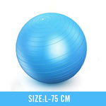 Black Exercise Balls Men Professional Anti Burst Stability Ball Home Gym Pilates Yoga Fitness Balance Fit Ball With Quick Pump