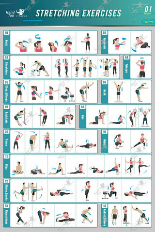 BodyBuilding-Guide-Fitness-Gym workout Exercise chart silk art Prints Wall Art For Living Room Bedroom Decor