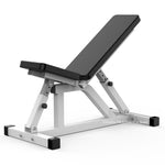 Multifunctional Abdominal Board, Dumbbell Weight Bench with Thick Steel Frame can Load 300KG, Home Exercise Fitness Supine Board